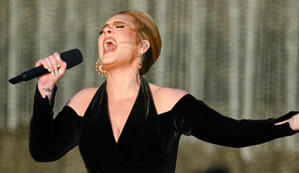 Adele Reúne A Su Ex Esposo Y A Su Nuevo Novio En Su último Concierto Venus Media 6982
